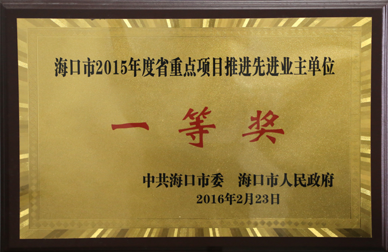 ?？谑?015年度省重點項目推進先進業(yè)主單位一等獎