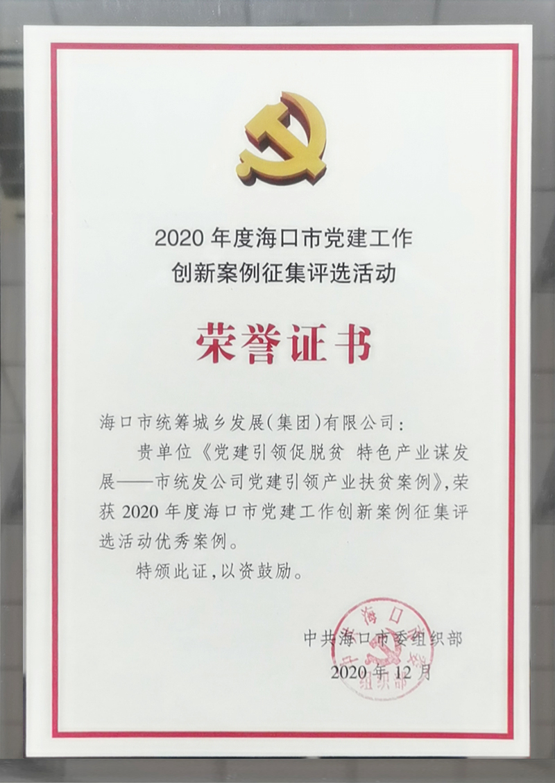 2020年度?？谑悬h建工作創(chuàng)新案例征集活動優(yōu)秀案例